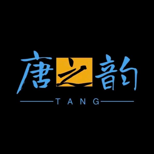 唐之韵智能话筒