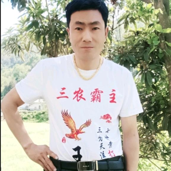 竹山县仙草农社