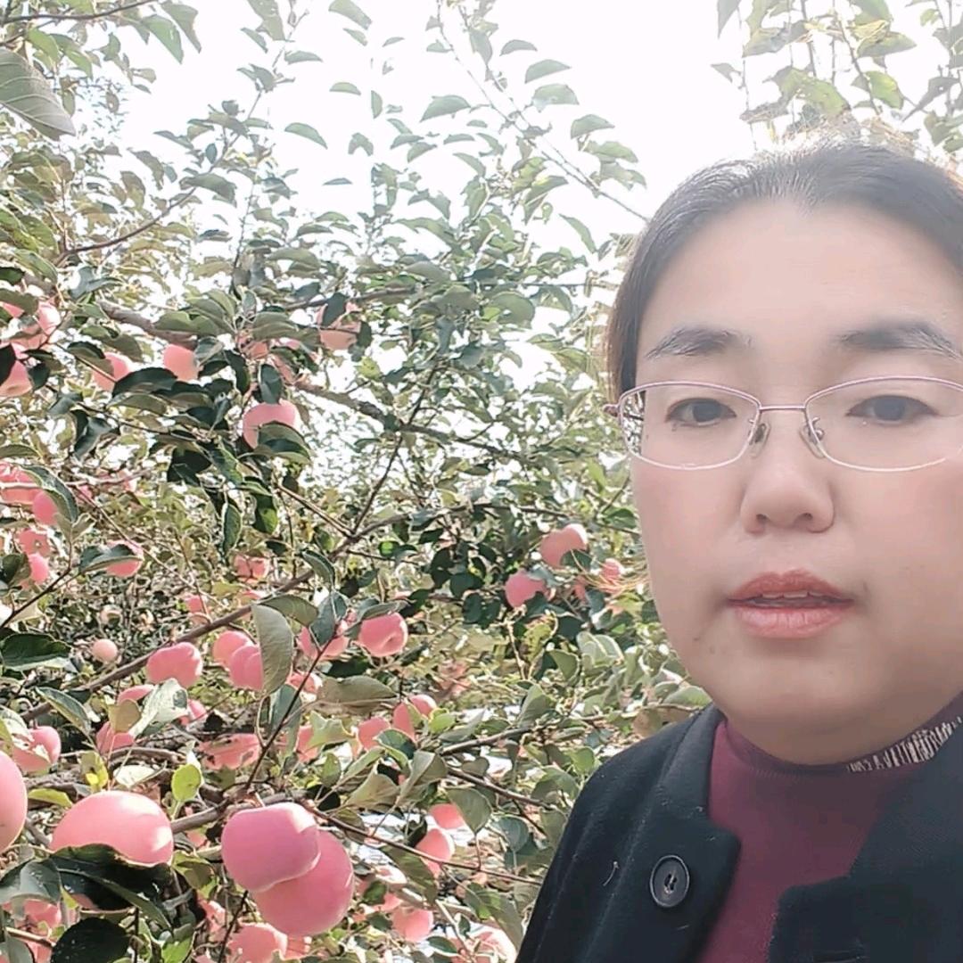 烟台丽丽家～苹果