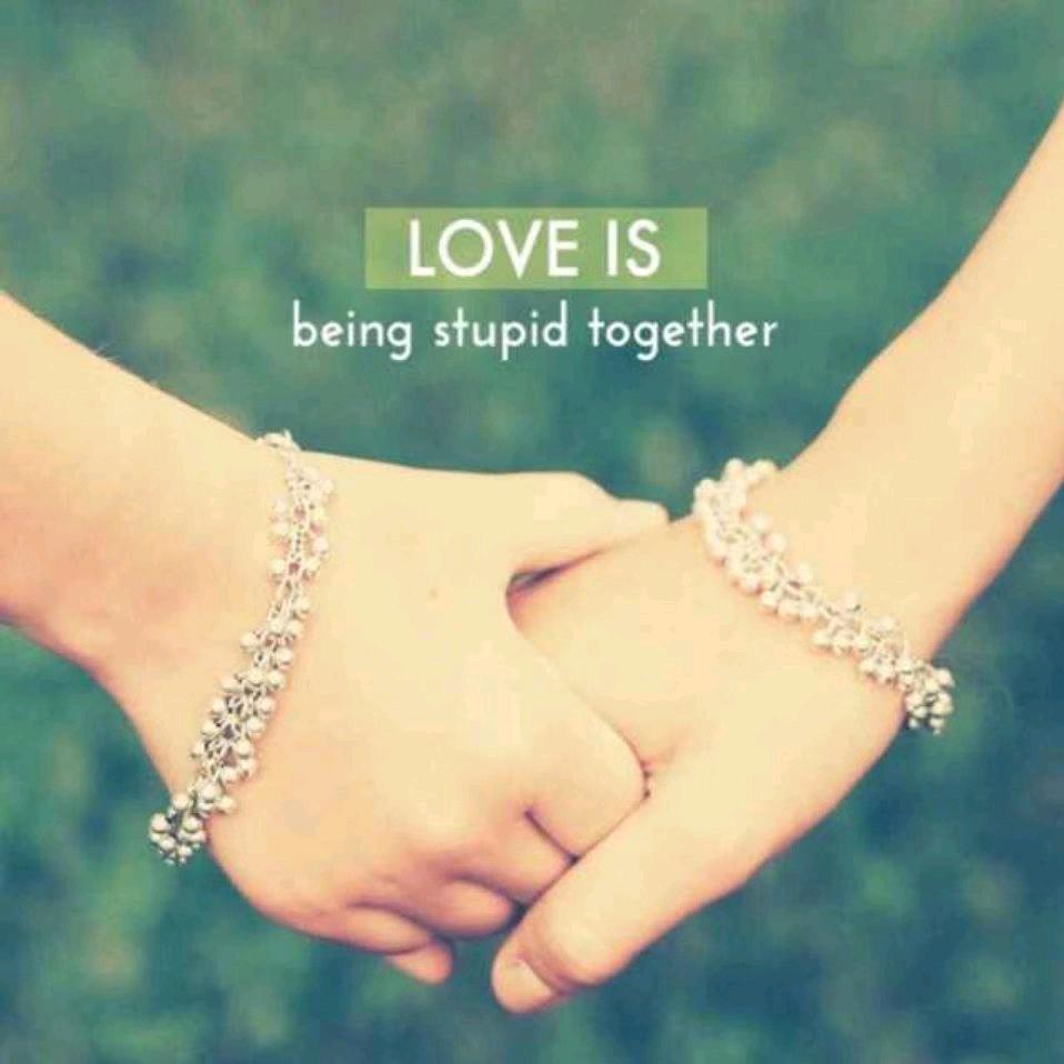 再见了我的歪脖子树