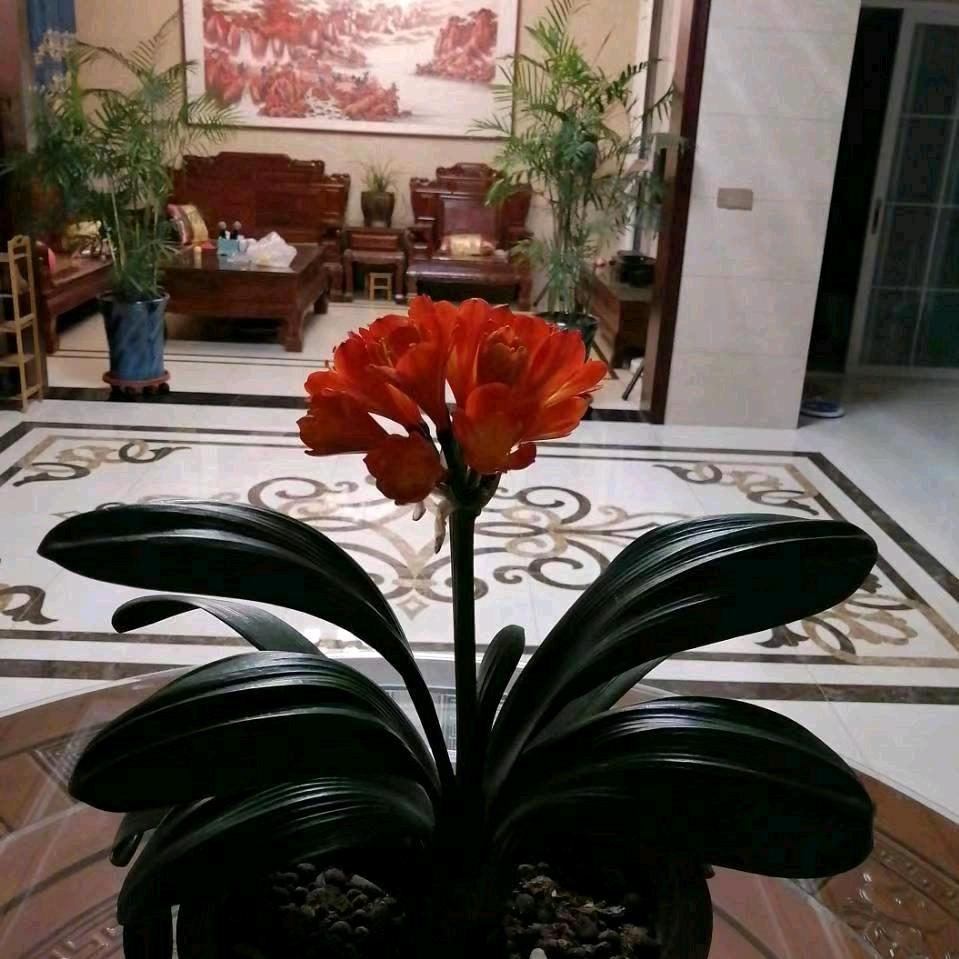 黄永萍