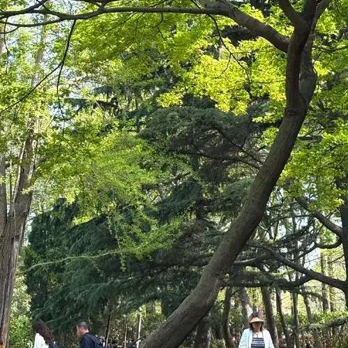 曹老师养生运动