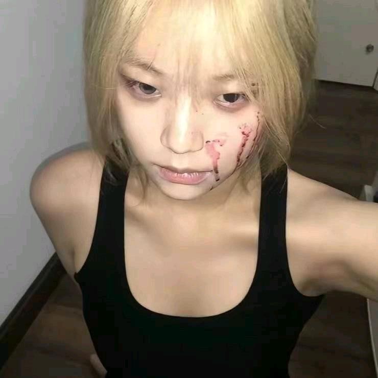 呆狗