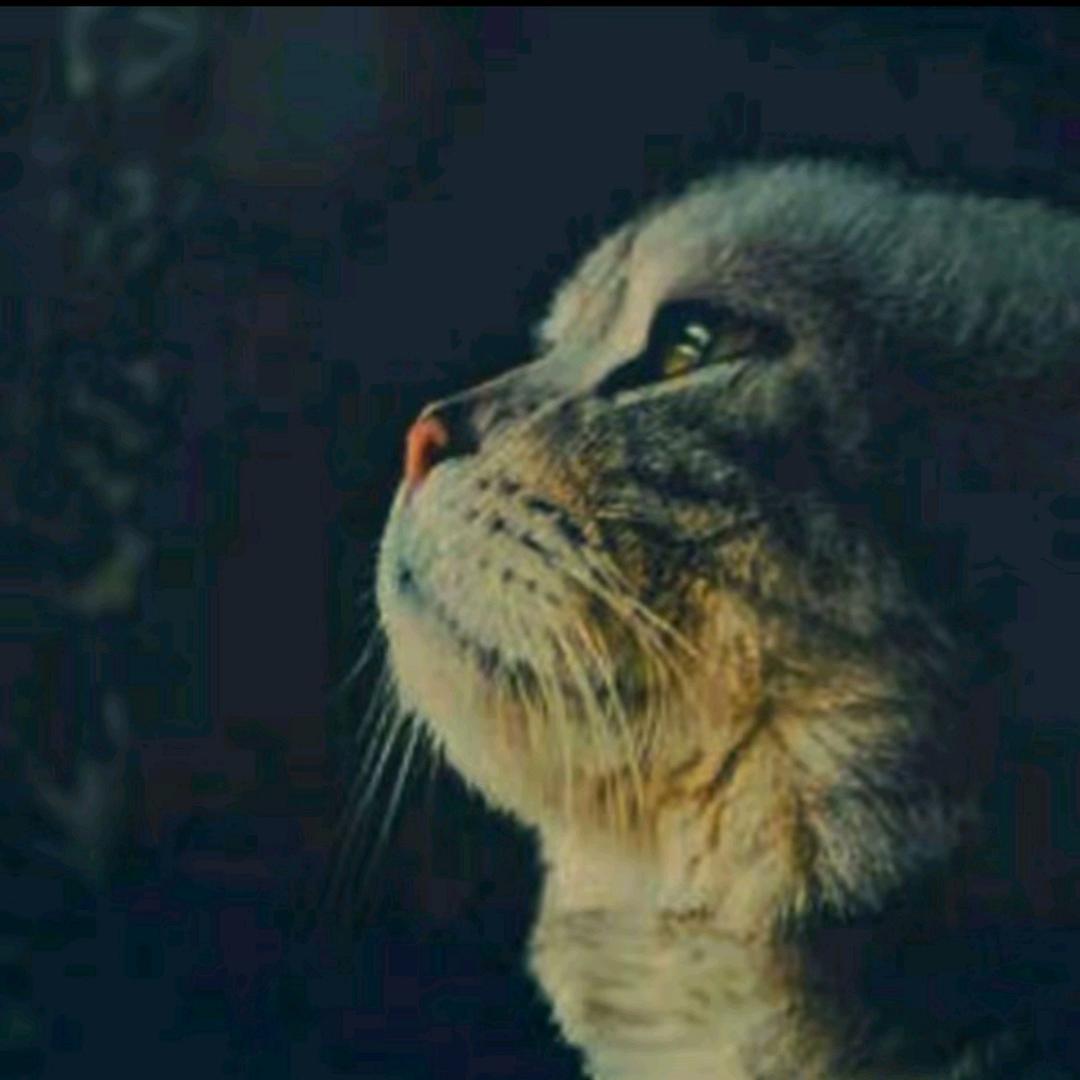 💗᭄㜂💞⃨孞ꦿ⁵²⁰