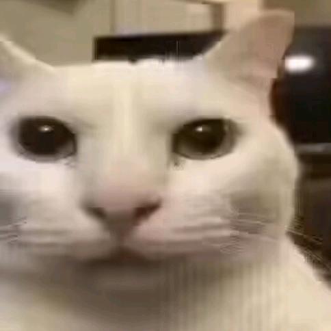 青春笨蛋R悠碰不到多金jK美少女