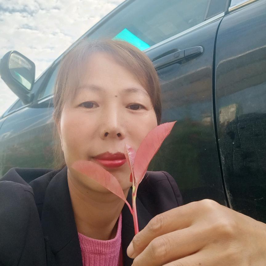 我爱我家