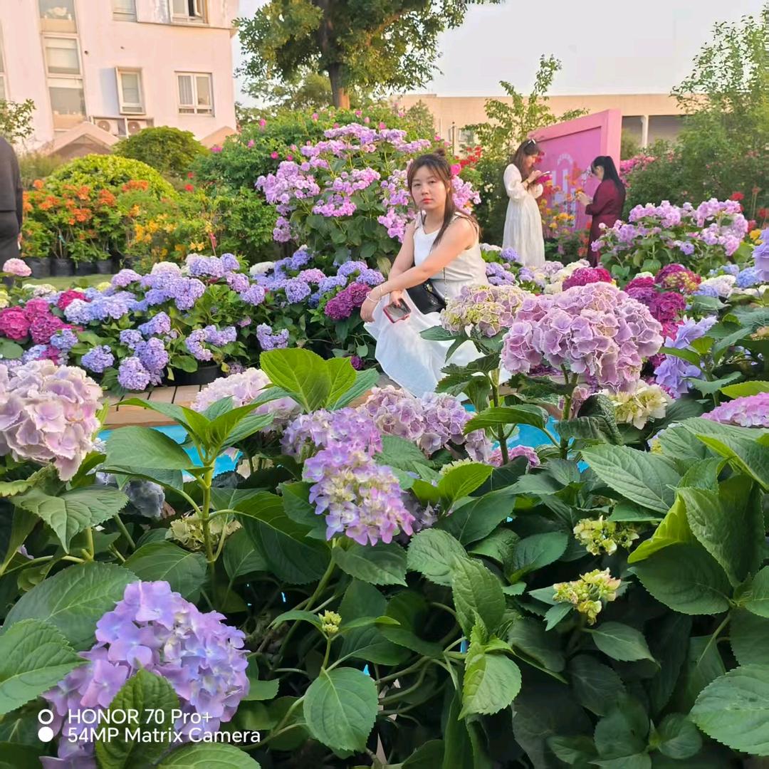 🌻如果有一天🌻