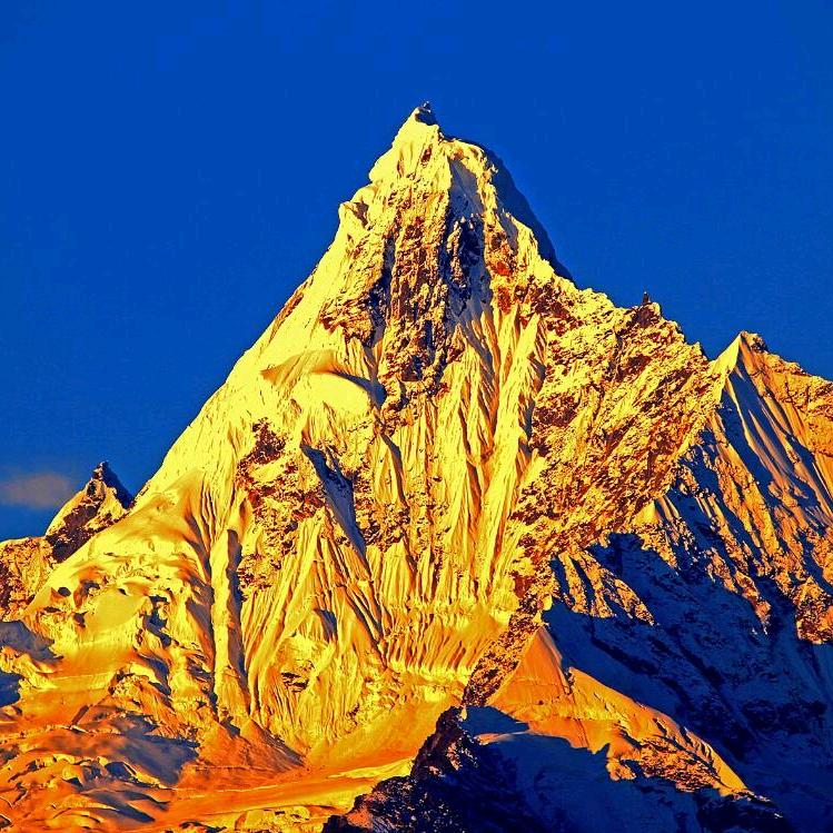 共产主义接班人