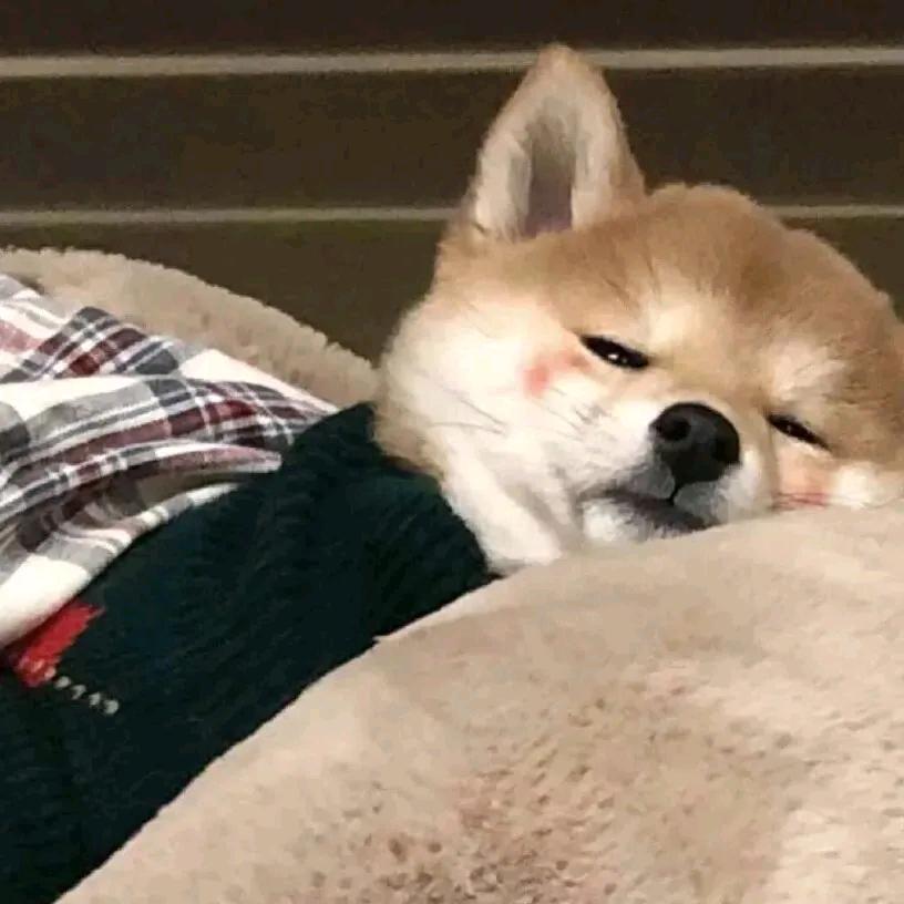 似水