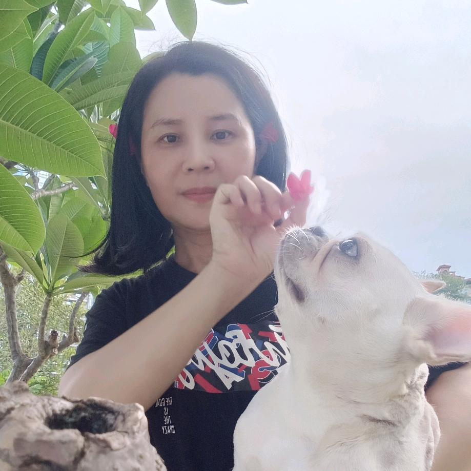 媤澜与劳斯