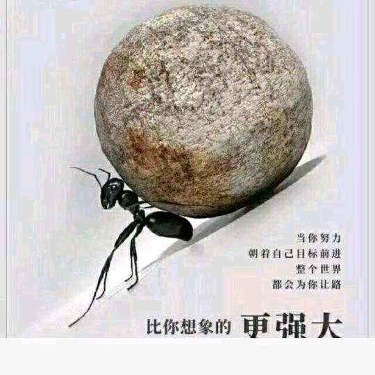 拼搏