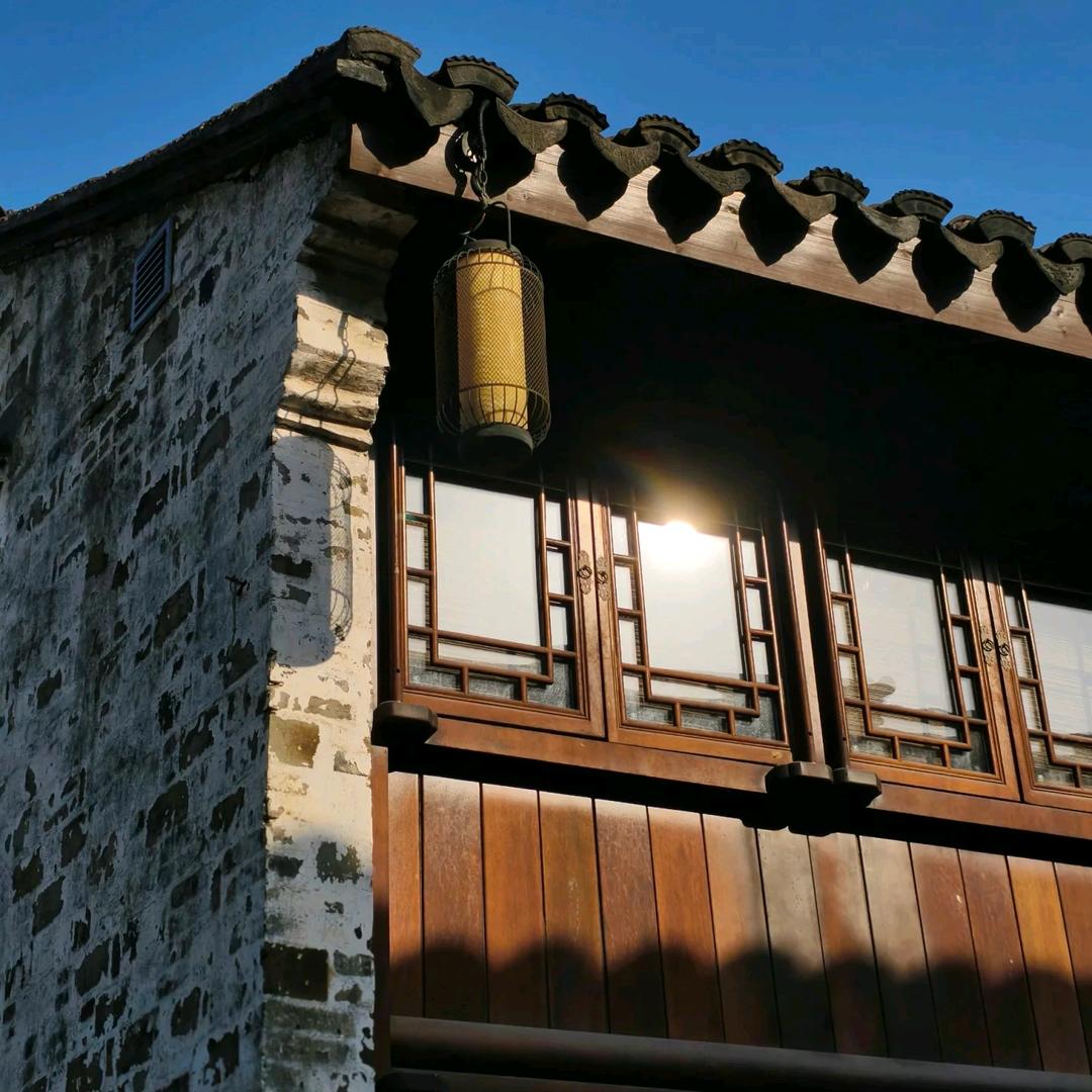 杨杨呀