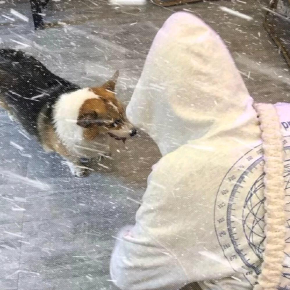 开心