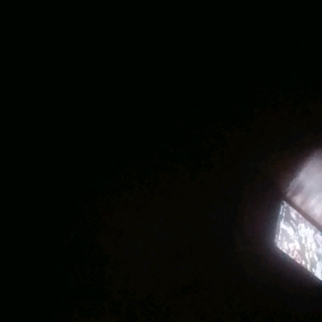 我爱一个美女婆