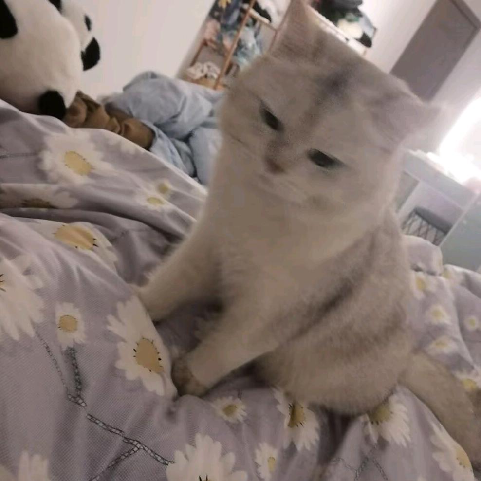 陈珒落