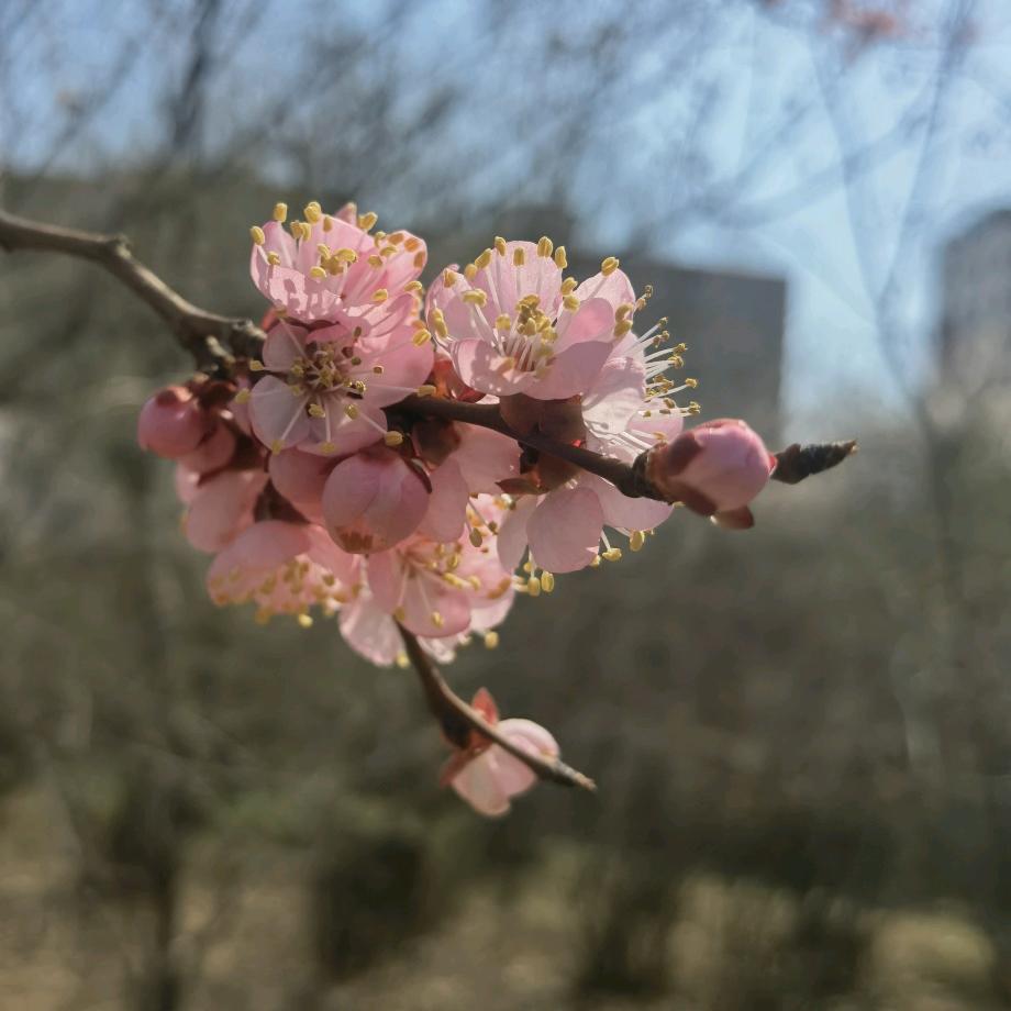 晓晓丫好物