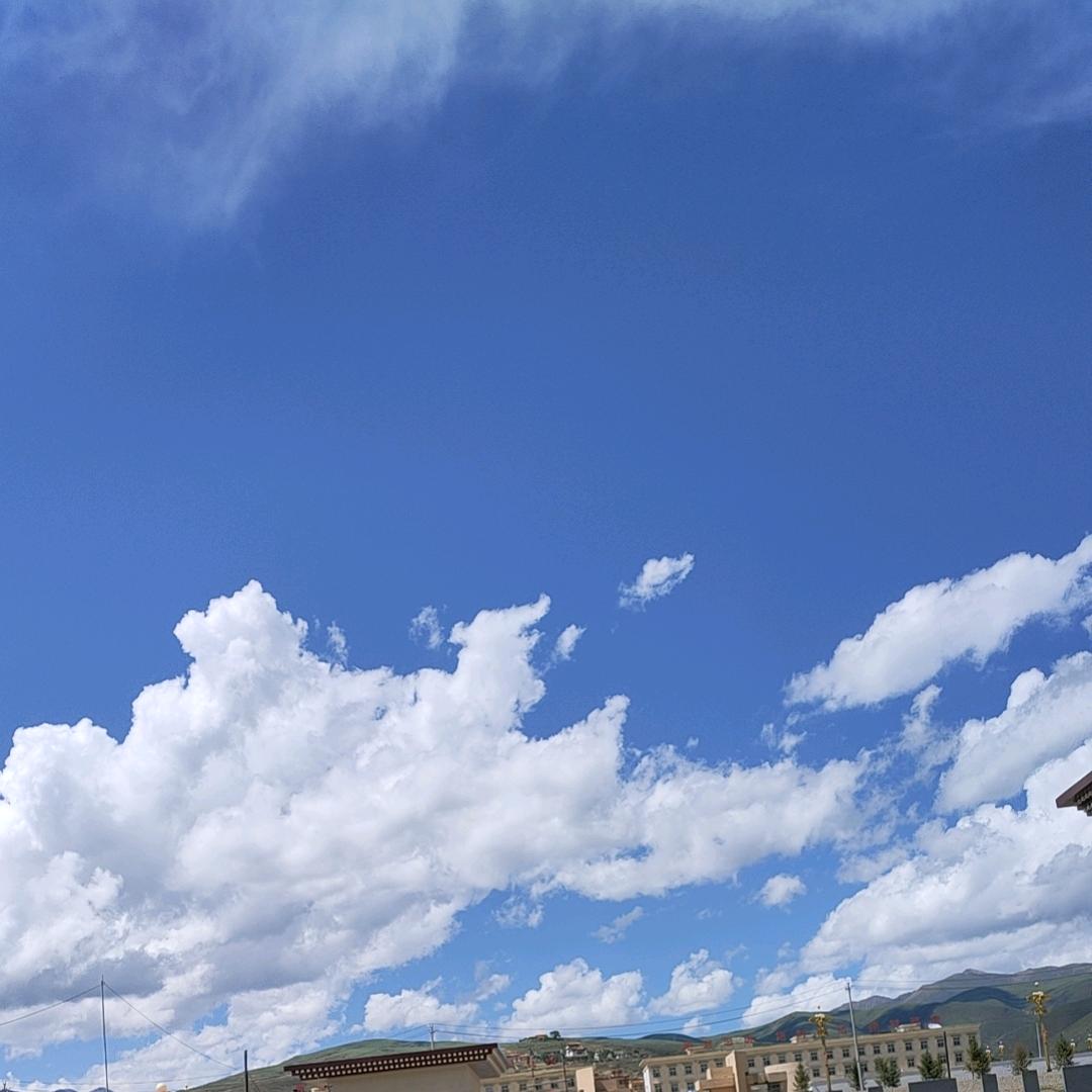 不困于情，不乱于心