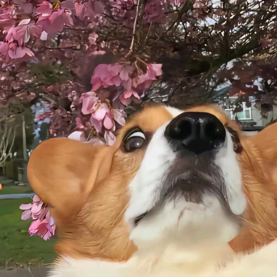 哼哼哈嘿哈哈哈哈