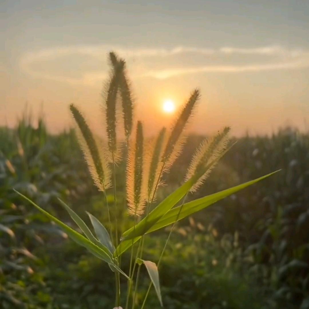 我不喜欢名字很长这样就刚刚好