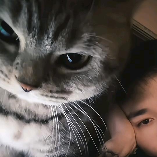 古希腊掌管舔狗的神