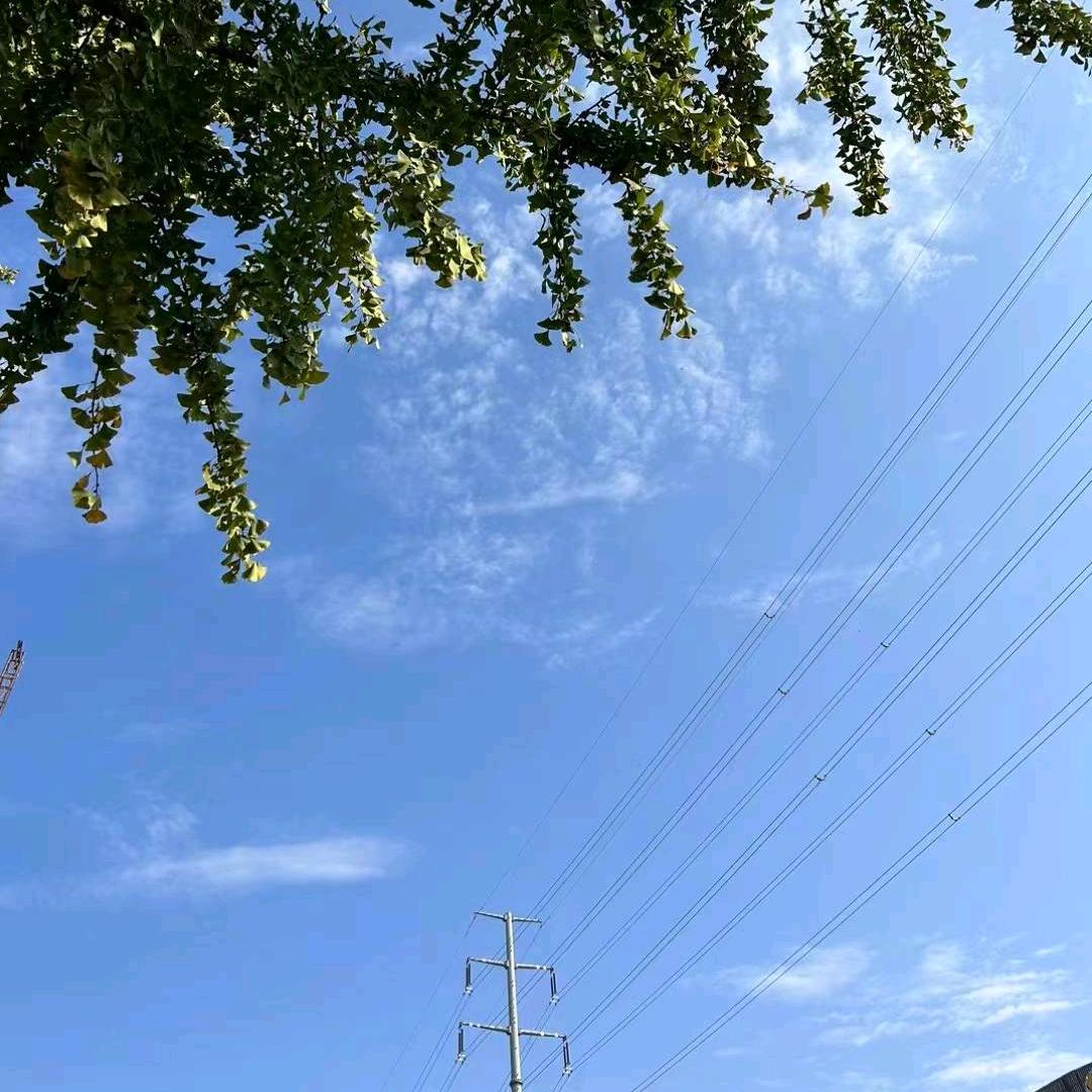 小春（残疾女孩）