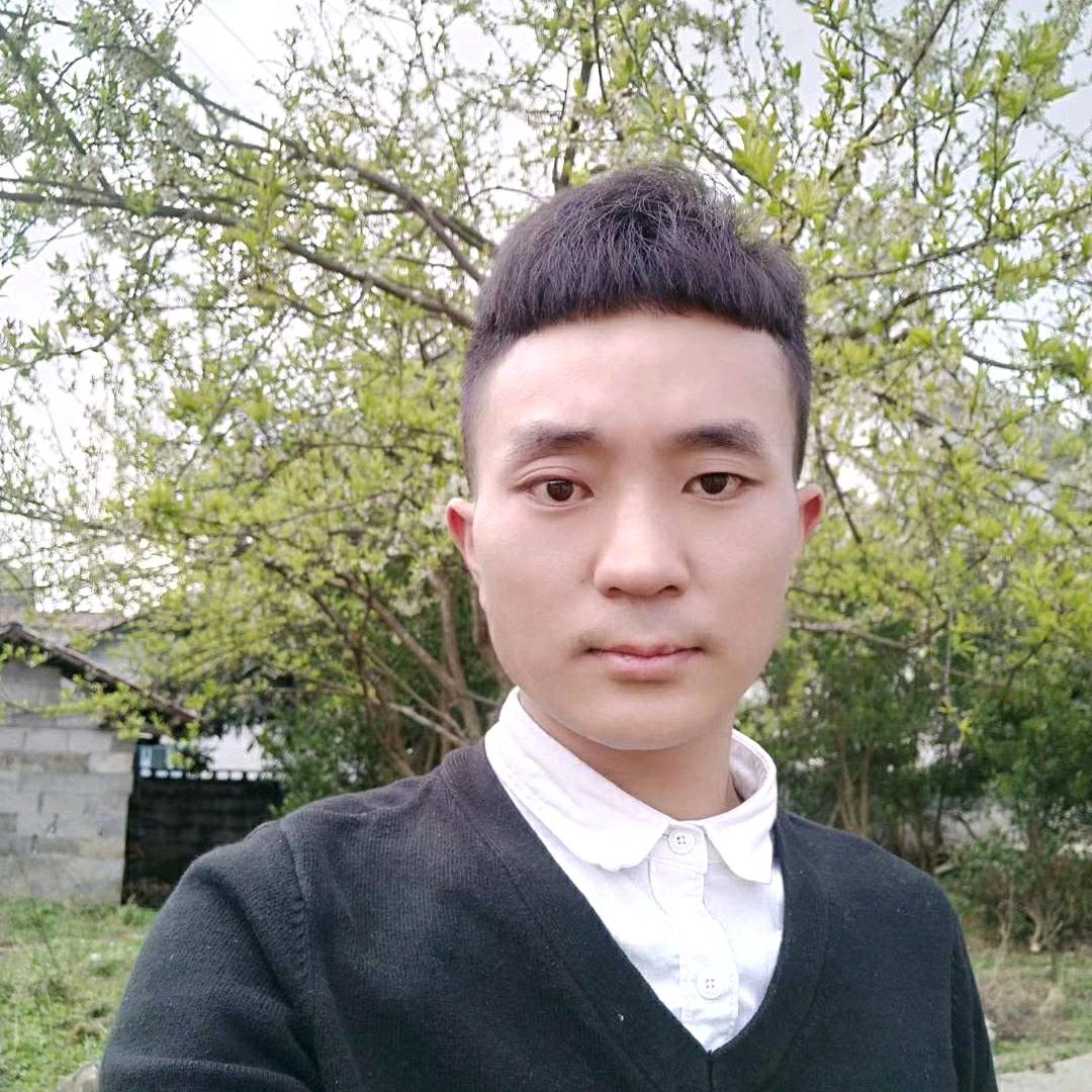 清风抚弦音
