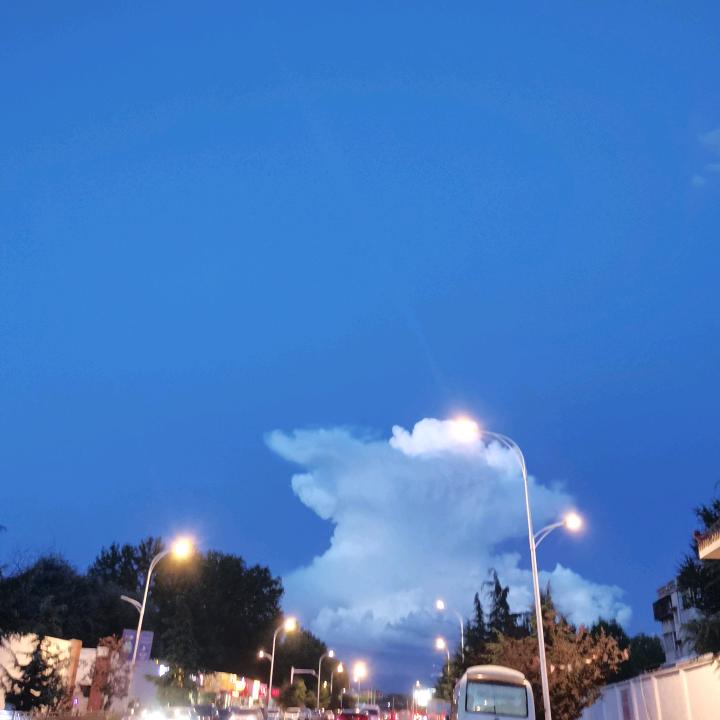 苏苏苏日常生活