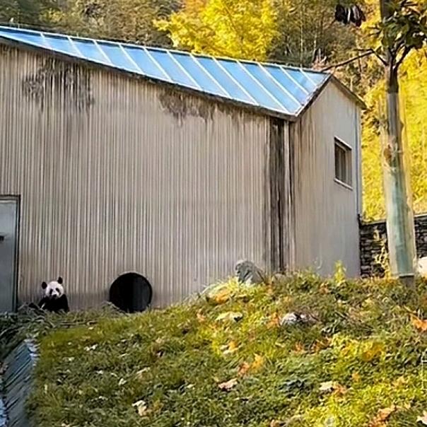 用户名