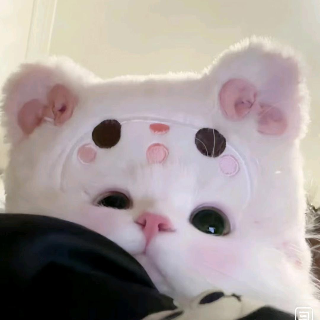 阿狸（三角洲）