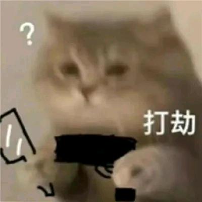 雾沛岚🍉