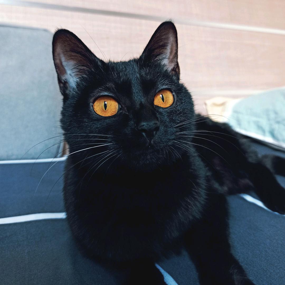 自信人生一百年