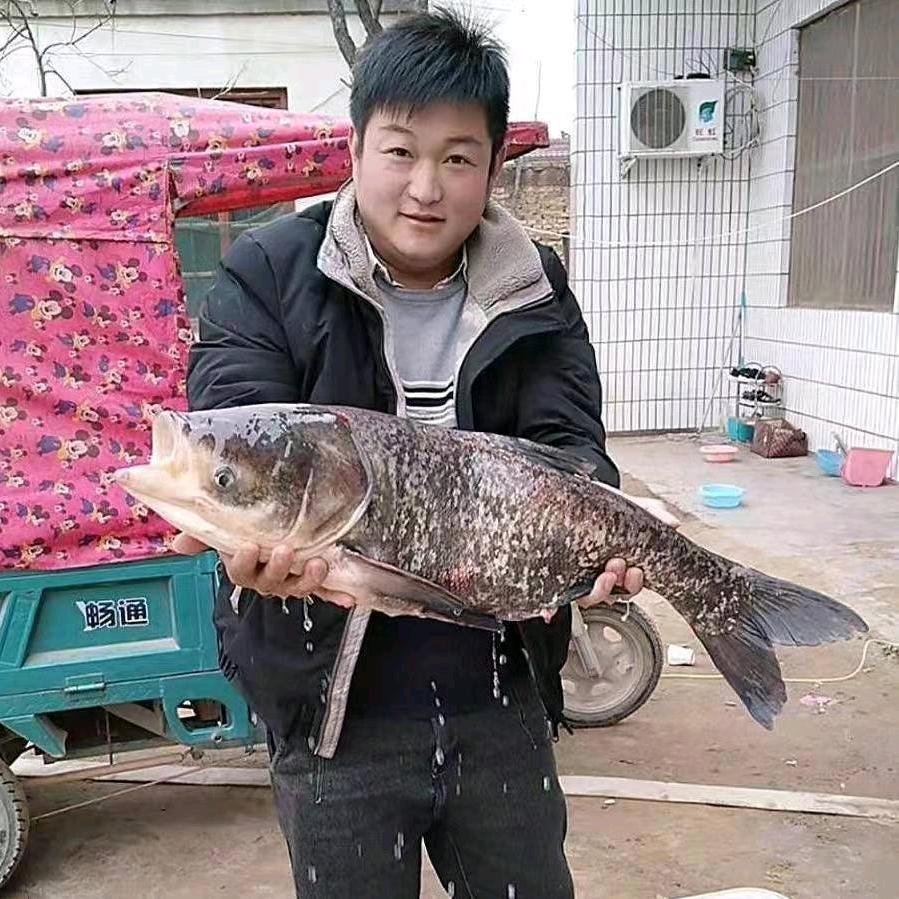 刘个关注！。龙龙