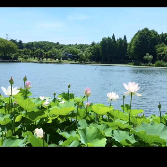 🥀⃟執᭄著꧀ᩚ࿐