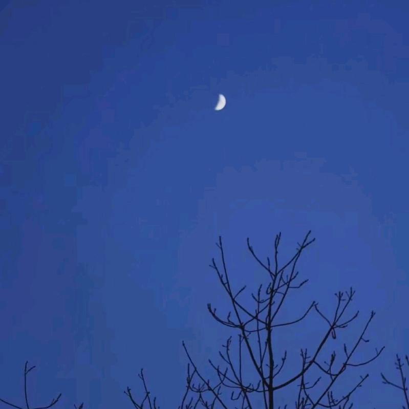 拼博