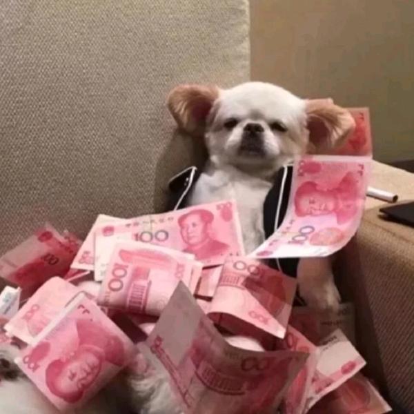 磊乐乐