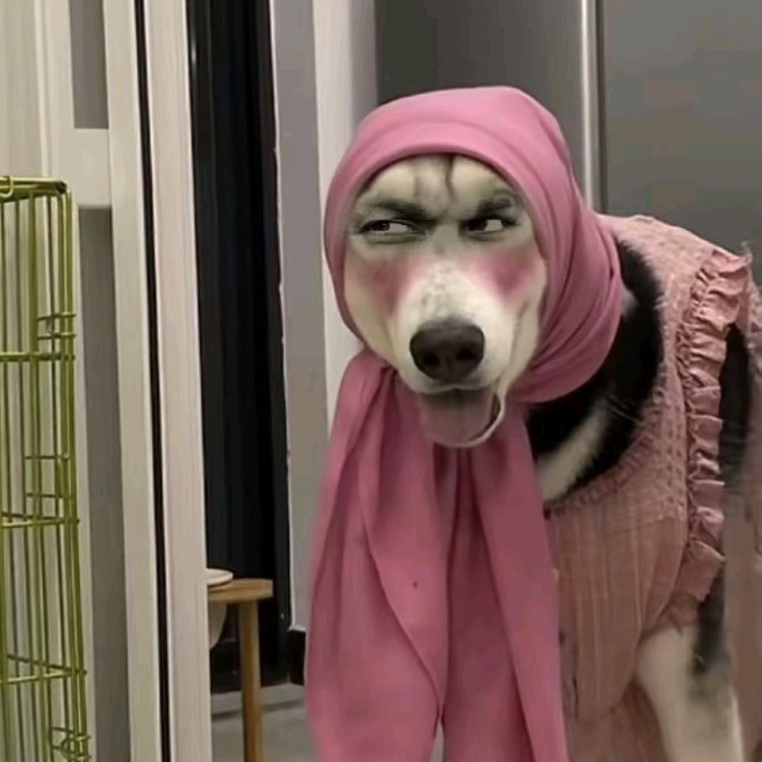 钓鱼界护不湿郎