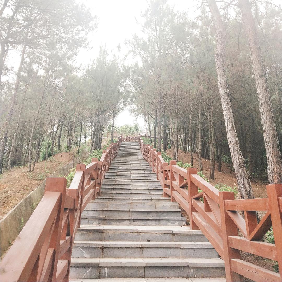 @ဣ𝄽心想☾⋆᭄事陈 ♡