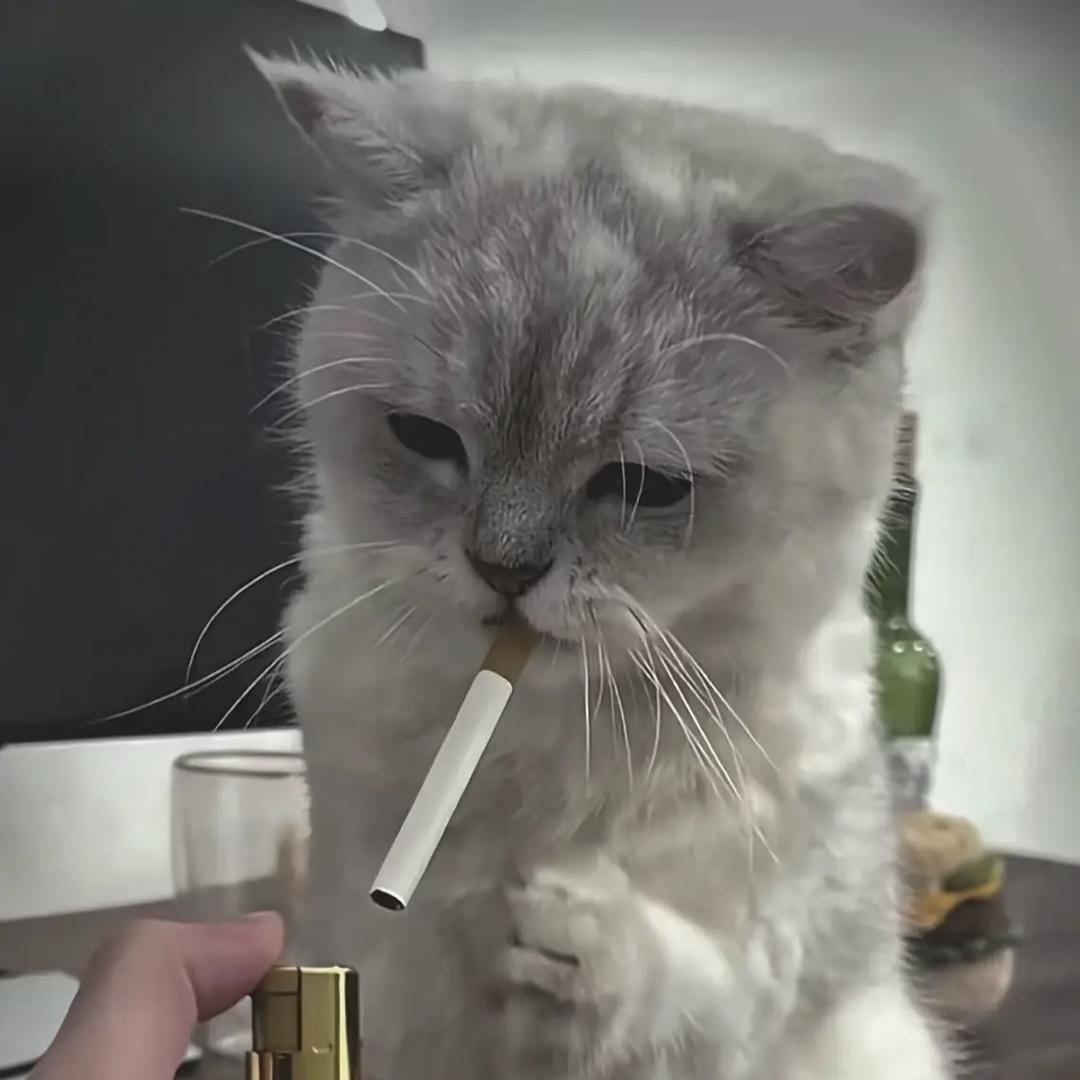 梦醒か