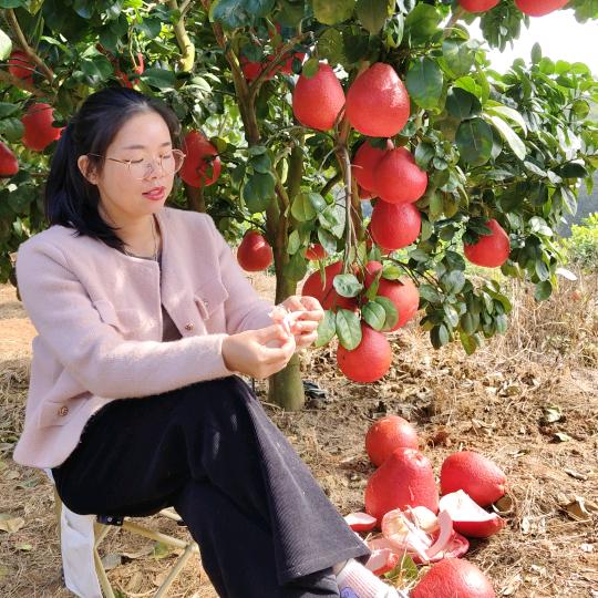 千韵果树苗木专营店