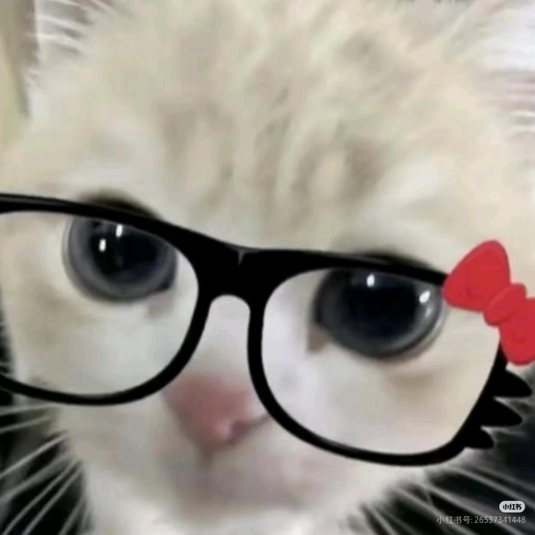 喜欢小猫
