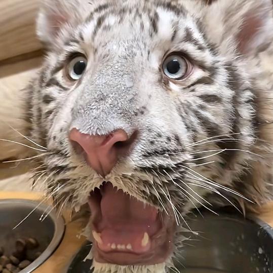 起风了回家收衣服