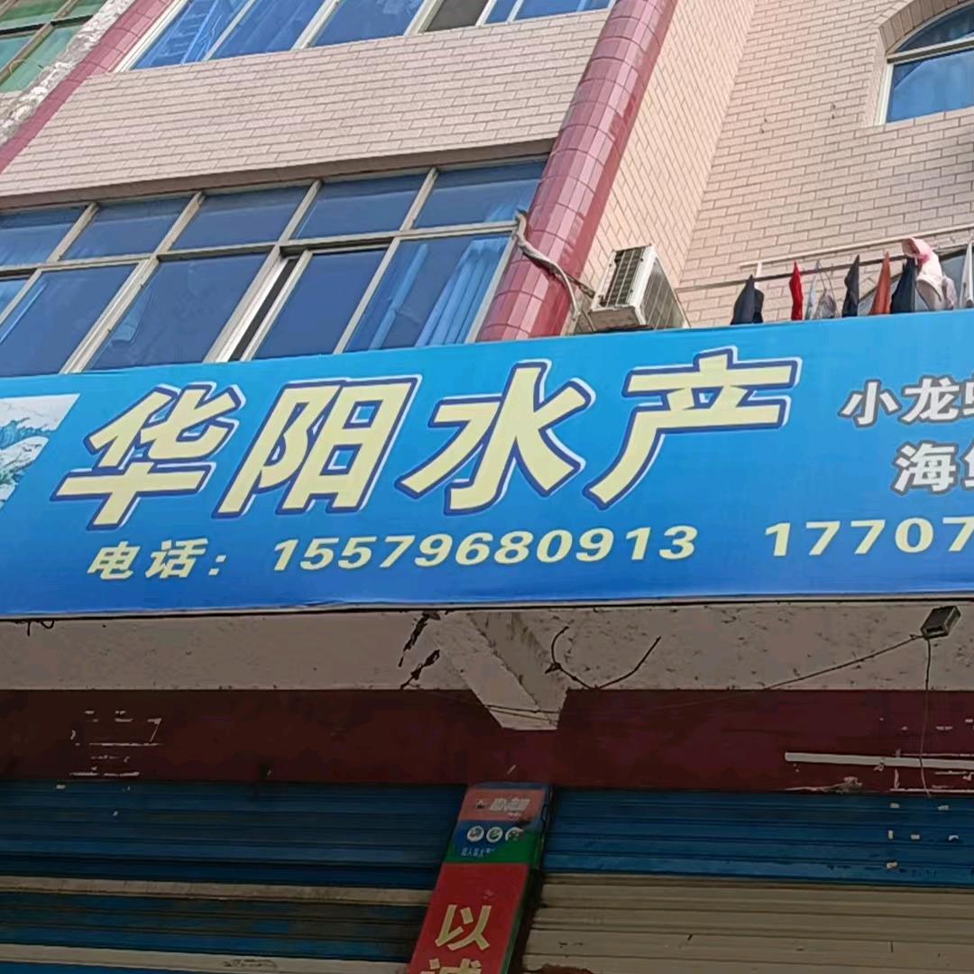 华阳水产 海鲜 小龙虾