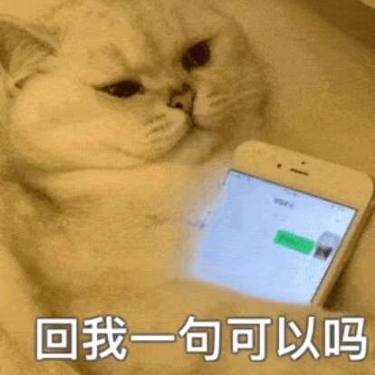 开开心心就好