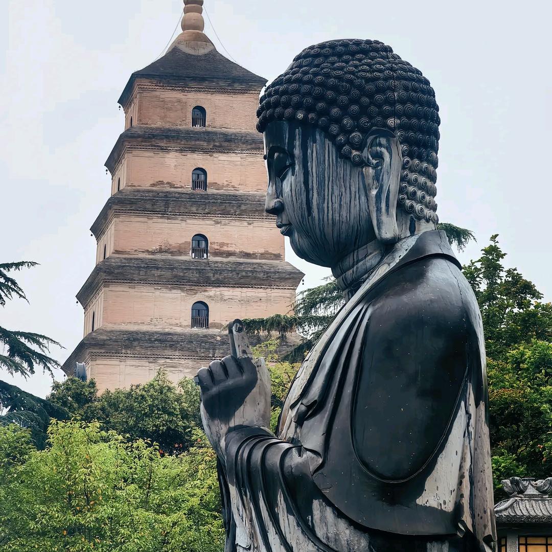 布鲁克