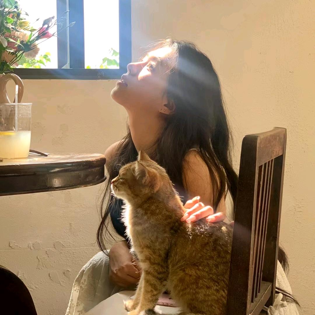 🌈福所倚头像