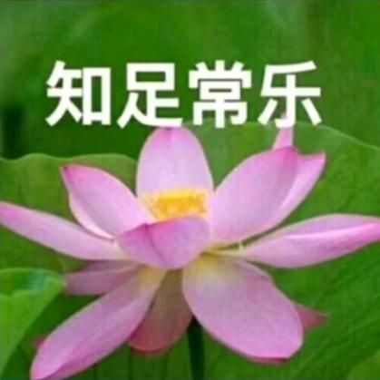 我的人生我作主