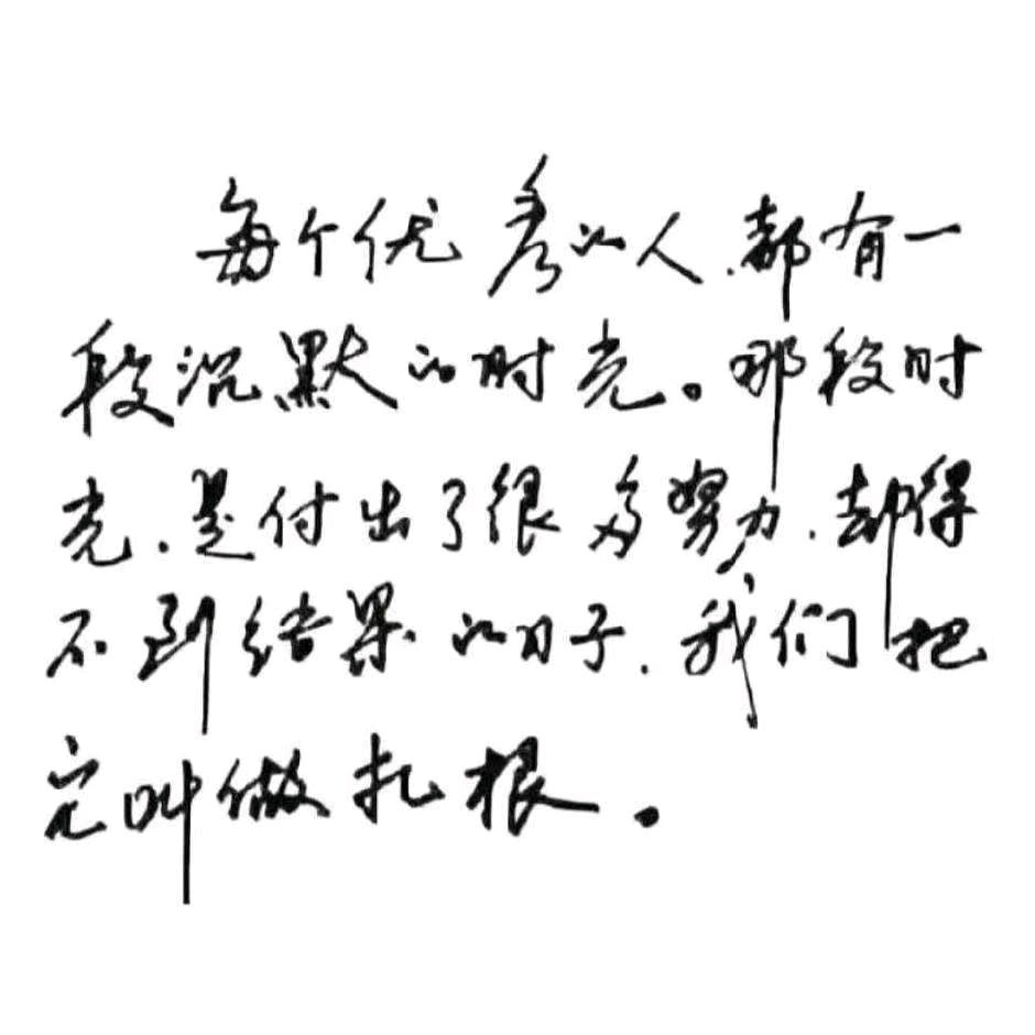 counselor-li