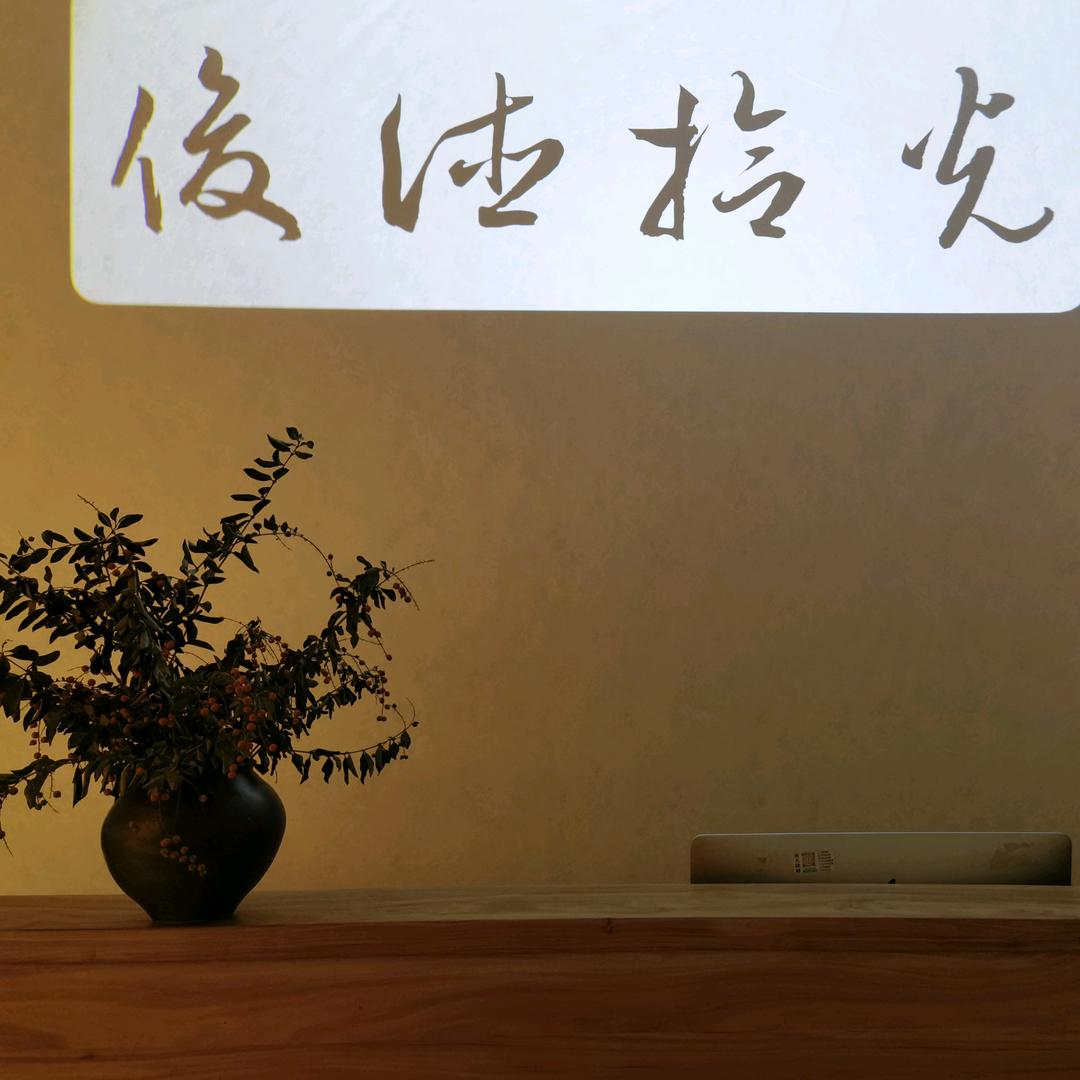 俊德拾光茶事