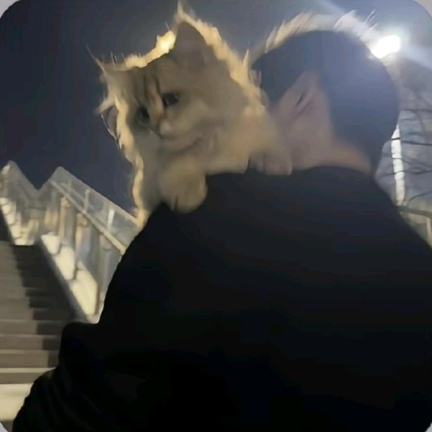 飞他不