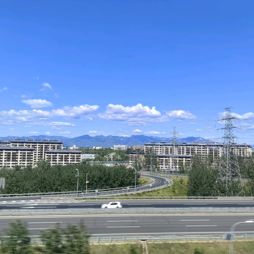 绿背心